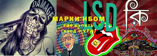 apvp Семилуки