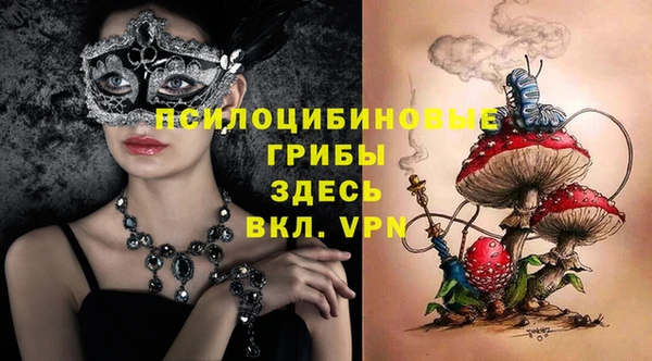 apvp Семилуки